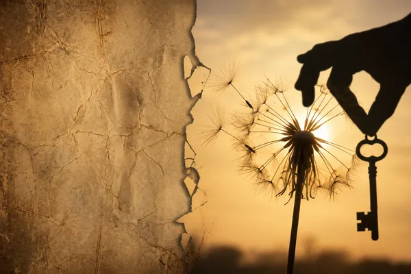 Rissige Wand, die in eine Pusteblume im Sonnenlicht übergeht, dazu eine Hand mit Schlüssel – Symbol für Heilung nach Trauma