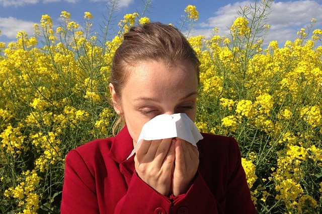 Heuschnupfen und Allergien